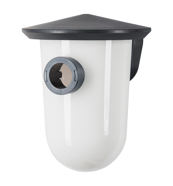 SingingFriend - breedR grau