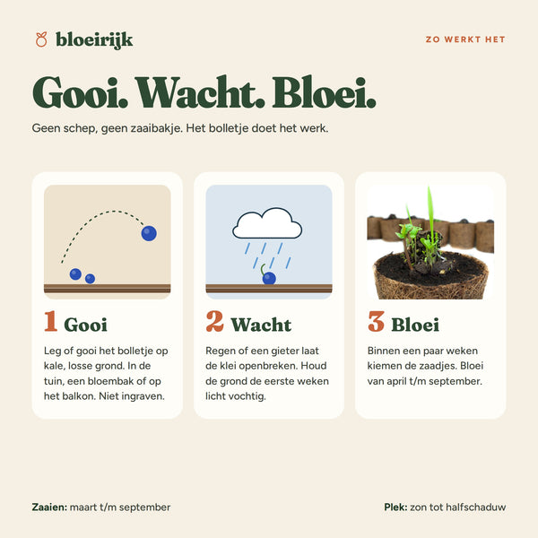 Zo werkt een zaadbom: gooi, wacht, bloei