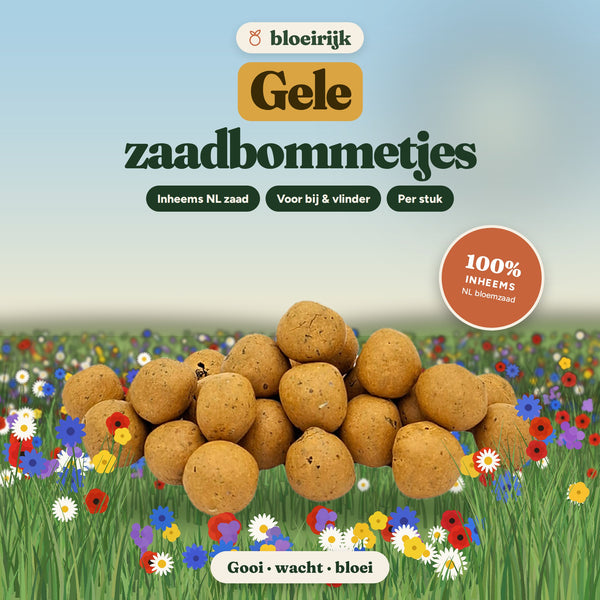 Gele zaadbommetjes van bloeirijk in een bloemenweide