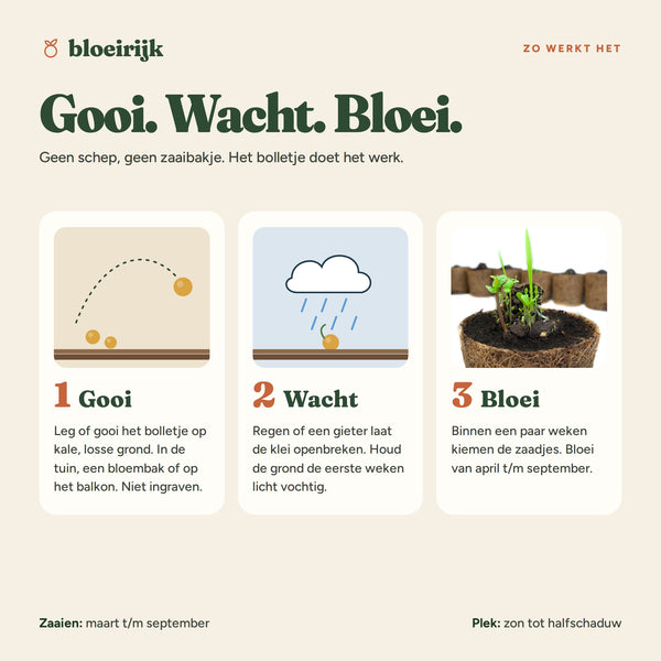 Zo werkt een zaadbom: gooi, wacht, bloei