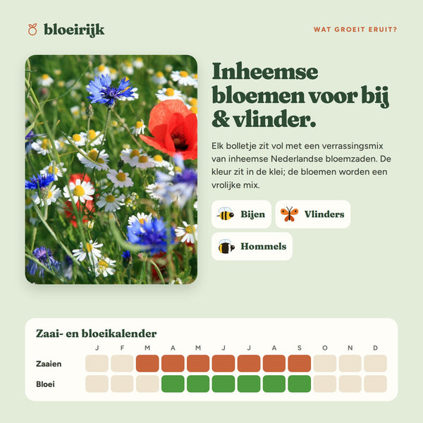 Wat groeit er uit kleurrijke zaadbommetjes, met zaai- en bloeikalender