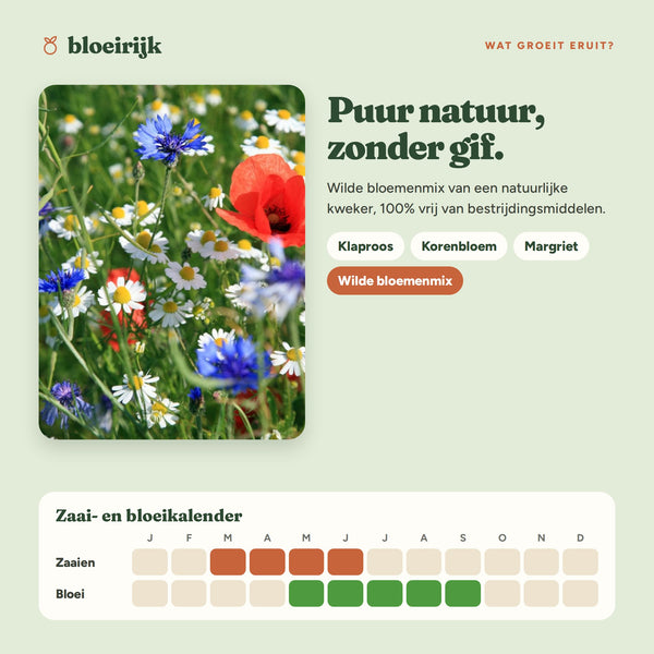 Wat groeit er uit zaadbommen 100% natuurlijk, met zaai- en bloeikalender
