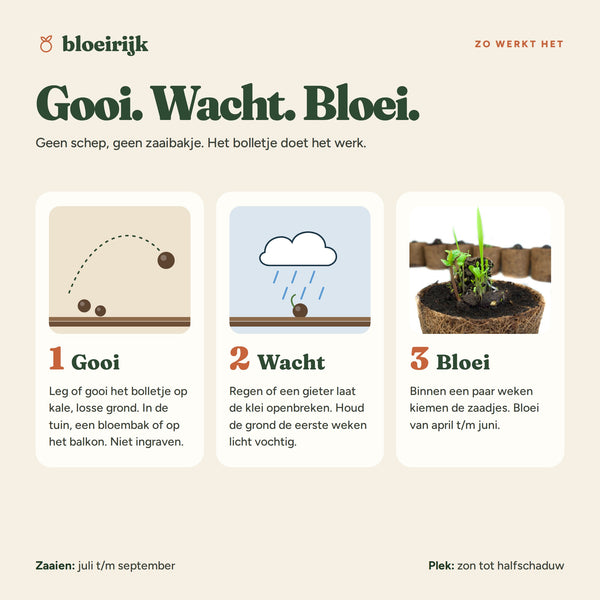 Zo werkt een zaadbom: gooi, wacht, bloei
