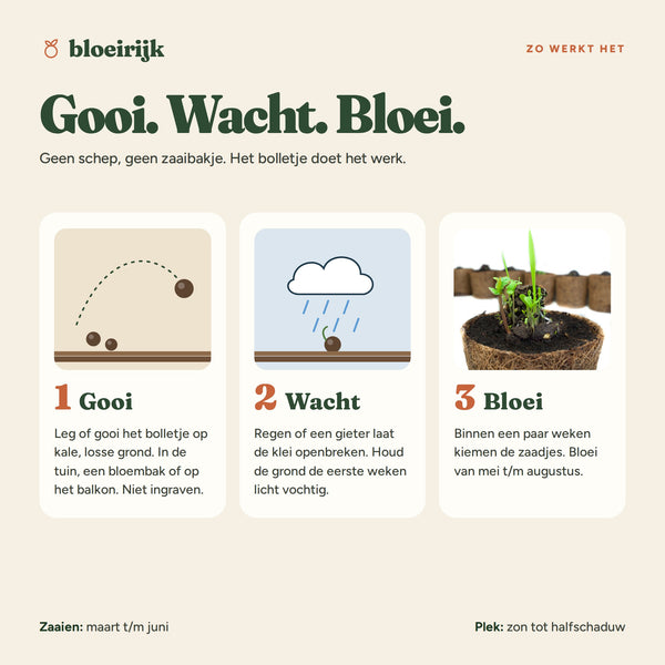 Zo werkt een zaadbom: gooi, wacht, bloei