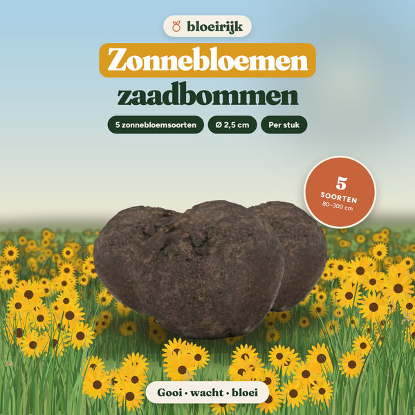 Zaadbommen Zonnebloemmix van bloeirijk in een bloemenweide