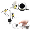 Born in Sweden BirdFeeder Kit