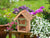Butterfly shed