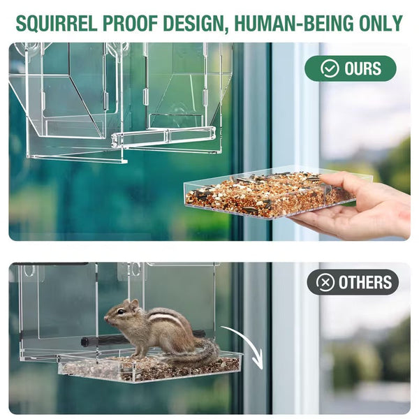 Heldere acryl raam vogelvoeder met easy-clean zadenbak | Doorzichtig vogelvoerhuisje voor kleine tuinvogels