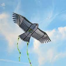 Anti-bird kite