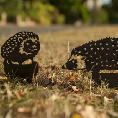 Birdwise - Igel-Set