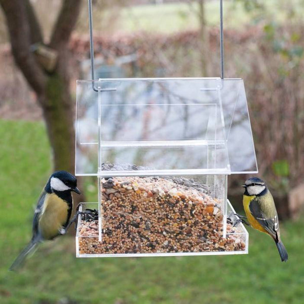 Acrylic hanging bird feeder transparent combi