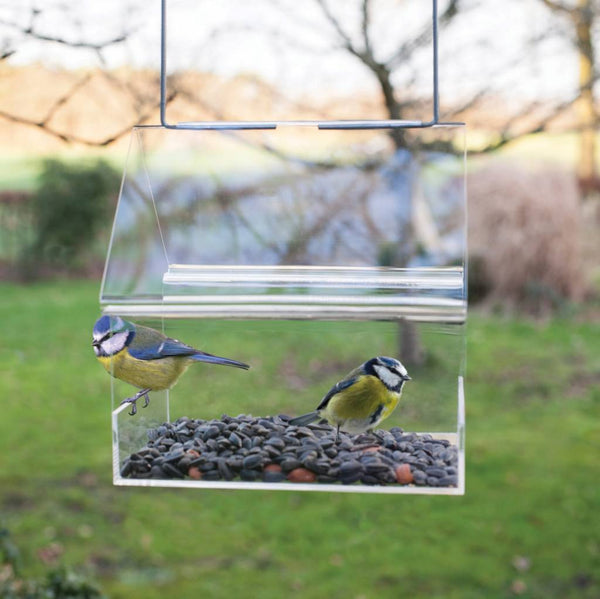 Acrylic hanging feeding table transparent