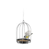 Eva Solo Bird Feeder Cage