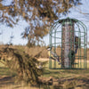 Vogelvoeder zaadsilo anti-eekhoorn