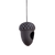 Acorn feeder hanger