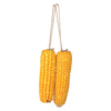 Dried corn cobs