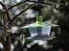 Birdhouse Finch Olive Green