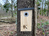 Kooprijk - Great Tit