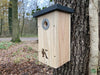 Kooprijk - Great Tit