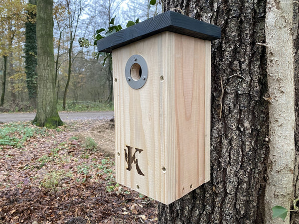 Kooprijk - Great Tit