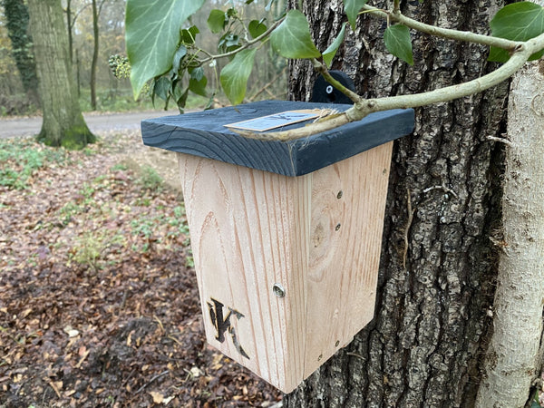 Vleermuiskast Douglashout Zonnige Plek | Kooprijk
