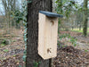 Kooprijk - Woodpecker