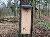 Kooprijk - Woodpecker