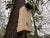 Kooprijk - Woodpecker