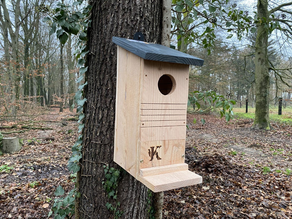 Kooprijk - Squirrel
