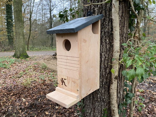 Kooprijk - Squirrel