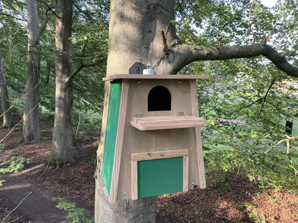 CaptureWILD - Schleiereule