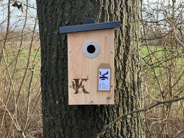 Kooprijk - Blue Tit