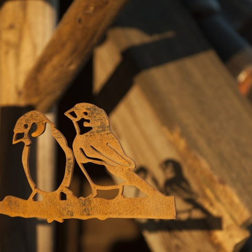 Birdwise - Haussperling-Pärchen