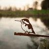 Birdwise - Eisvogel