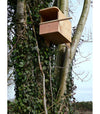 Kestrel Box