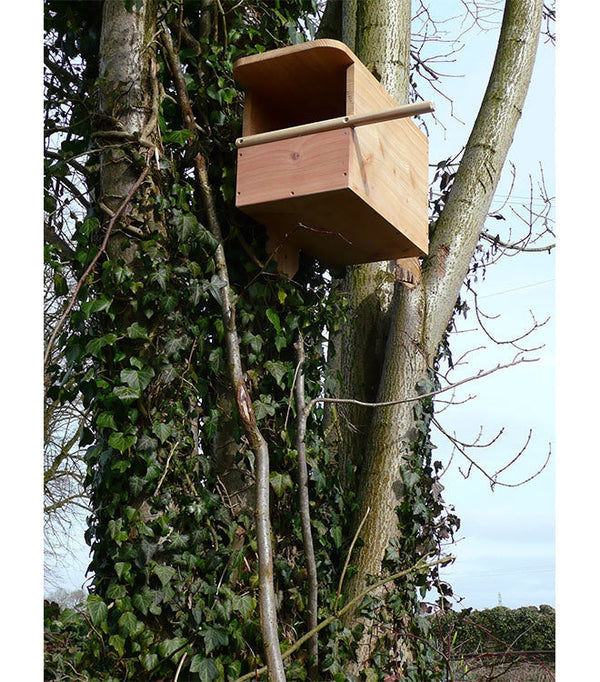 Kestrel Box