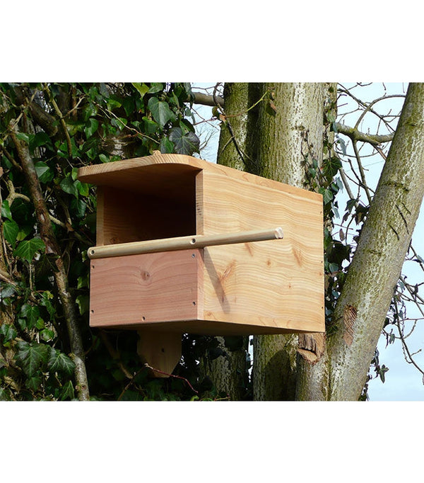 Kestrel Box