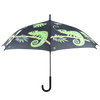 Chamäleon-Regenschirm