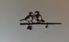 Birdwise - Kohlmeisenpaar