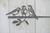 Birdwise - Kohlmeisentrio