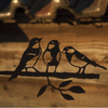 Birdwise - Kohlmeisentrio