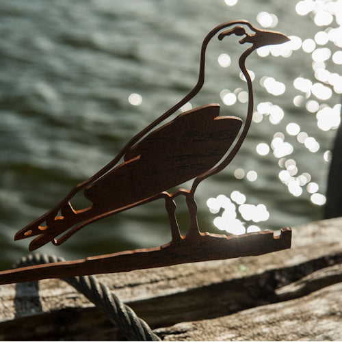 Birdwise - Seagull