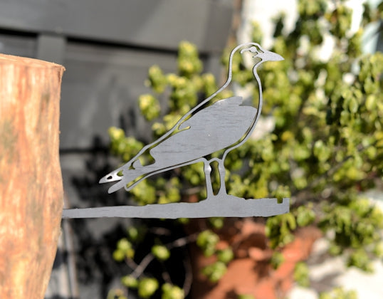 Birdwise - Seagull