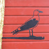 Birdwise - Seagull