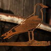 Birdwise - Seagull