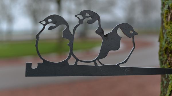 Birdwise - House Sparrow Trio #3