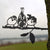 Birdwise - Huismus trio #1