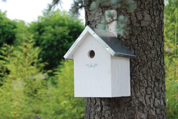 Blue tit birdhouse white