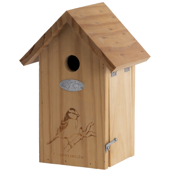 Nesting box blue tit silhouette