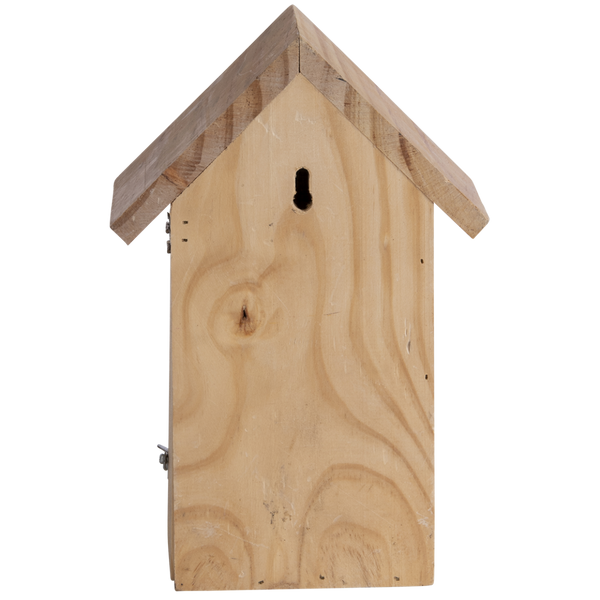 Nesting box blue tit silhouette